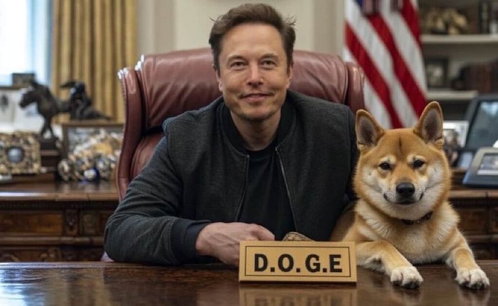 f0qj53v_elon-musk-doge_625x300_15_November_24.jpg